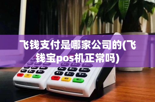 飞钱支付是哪家公司的(飞钱宝pos机正常吗)