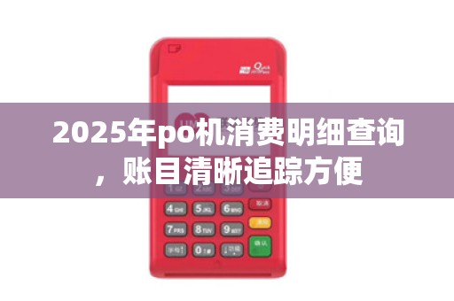 2025年po机消费明细查询,账目清晰追踪方便