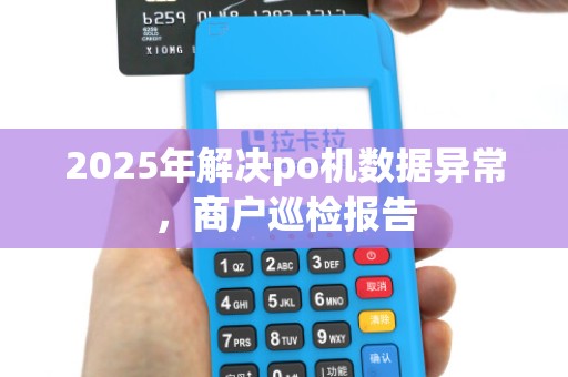 2025年解决po机数据异常，商户巡检报告