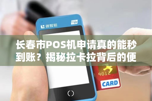 长春市POS机申请真的能秒到账？揭秘拉卡拉背后的便捷真相！