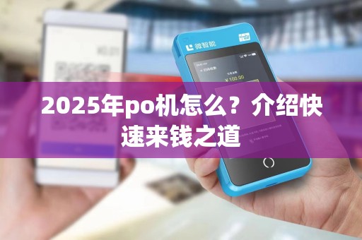 2025年po机怎么?介绍快速来钱之道