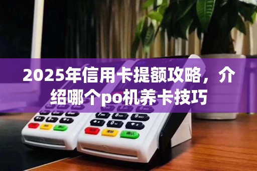 2025年信用卡提额攻略，介绍哪个po机养卡技巧