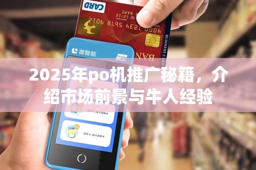 2025年po机推广秘籍,介绍市场前景与牛人经验