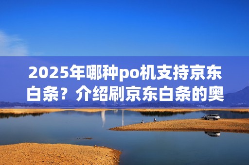 2025年哪种po机支持京东白条？介绍刷京东白条的奥秘