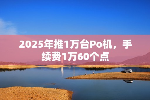 2025年推1万台Po机,手续费1万60个点