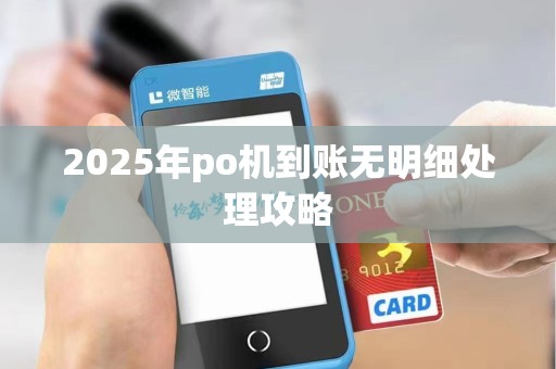 2025年po机到账无明细处理攻略