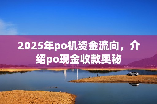 2025年po机资金流向,介绍po现金收款奥秘
