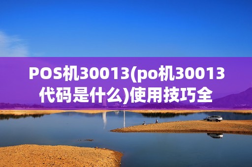 POS机30013(po机30013代码是什么)使用技巧全