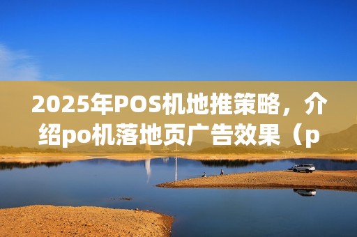 2025年POS机地推策略,介绍po机落地页广告效果(po机落地页广告效果怎么样)优势