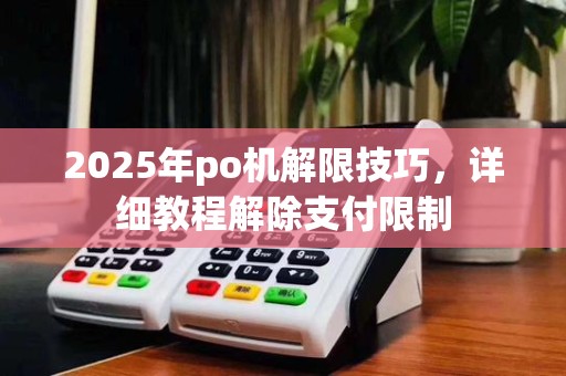 2025年po机解限技巧,详细教程解除支付限制