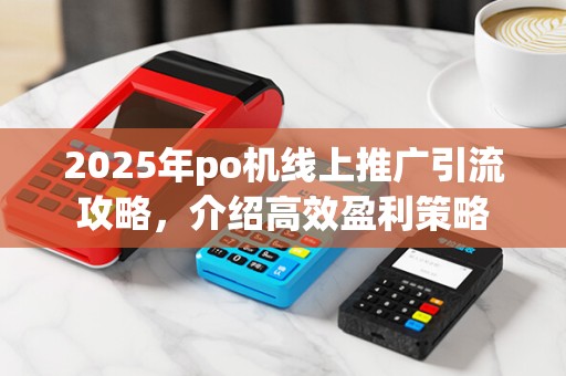 2025年po机线上推广引流攻略,介绍高效盈利策略