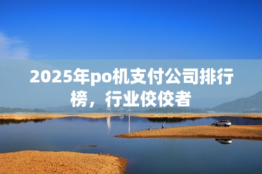 2025年po机支付公司排行榜,行业佼佼者