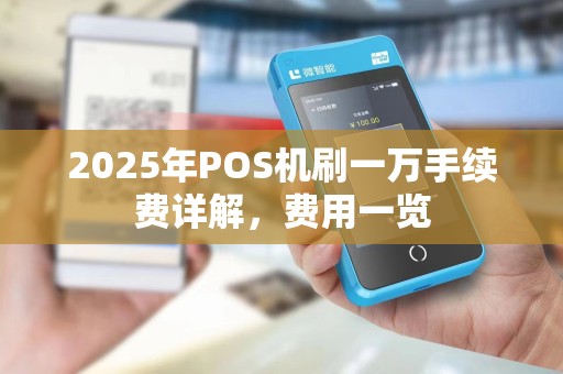 2025年POS机刷一万手续费详解,费用一览