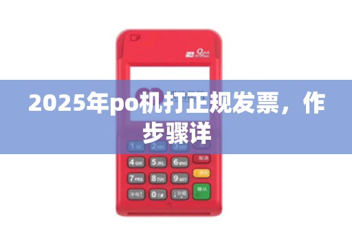 2025年po机打正规发票，作步骤详
