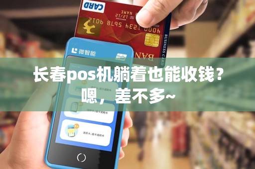 长春pos机躺着也能收钱？嗯，差不多~