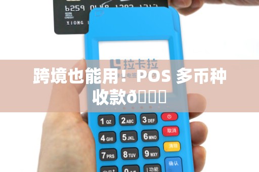跨境也能用！POS 多币种收款🌍