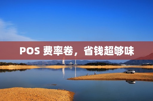 POS 费率卷，省钱超够味