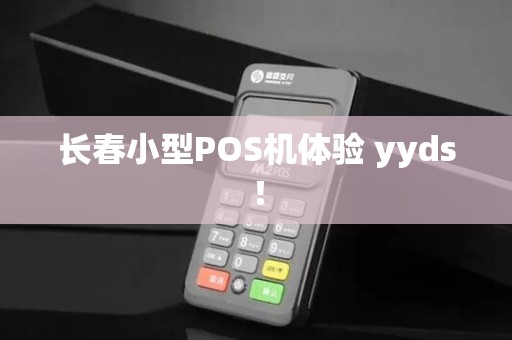 长春小型POS机体验 yyds！