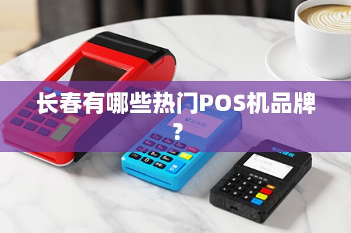 长春有哪些热门POS机品牌？