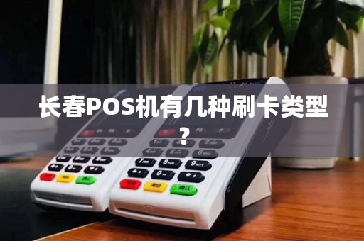 长春POS机有几种刷卡类型？