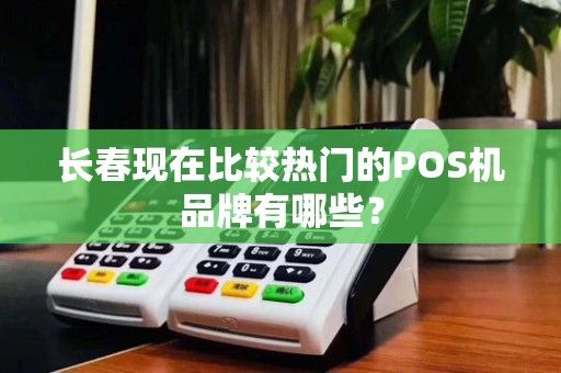 长春现在比较热门的POS机品牌有哪些？