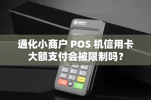 通化小商户 POS 机信用卡大额支付会被限制吗?