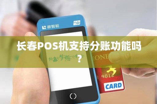 长春POS机支持分账功能吗？