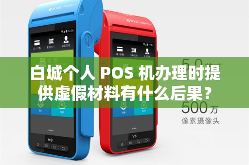 白城个人 POS 机办理时提供虚假材料有什么后果？