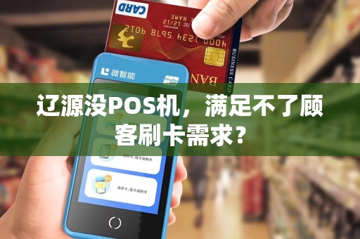 辽源没POS机，满足不了顾客刷卡需求？