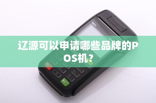 辽源可以申请哪些品牌的POS机?