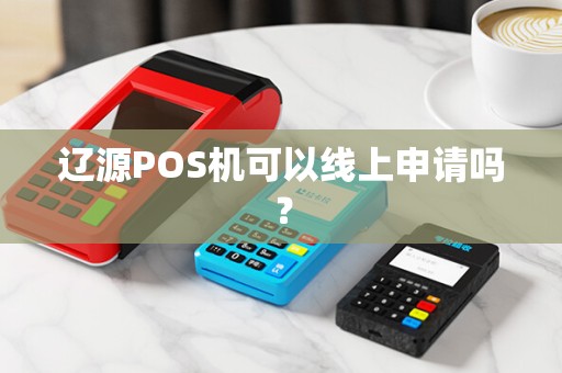 辽源POS机可以线上申请吗？
