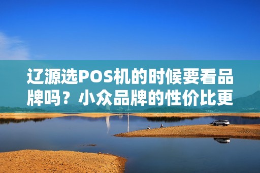 辽源选POS机的时候要看品牌吗？小众品牌的性价比更高吗？