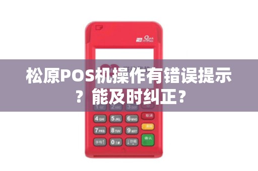 松原POS机操作有错误提示？能及时纠正？