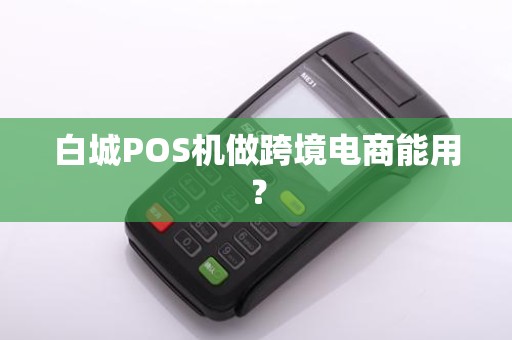 白城POS机做跨境电商能用？