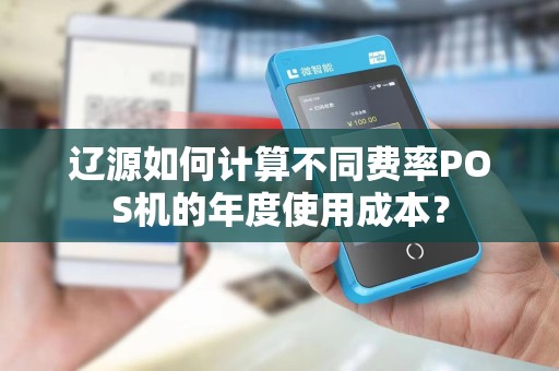 辽源如何计算不同费率POS机的年度使用成本？