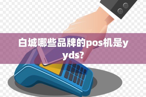 白城哪些品牌的pos机是yyds?