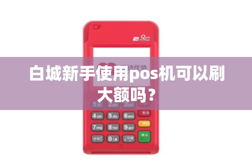 白城新手使用pos机可以刷大额吗？