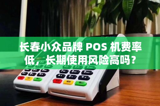 长春小众品牌 POS 机费率低，长期使用风险高吗？