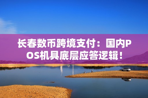 长春数币跨境支付：国内POS机具底层应答逻辑！
