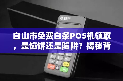 白山市免费白条POS机领取，是馅饼还是陷阱？揭秘背后的真相！
