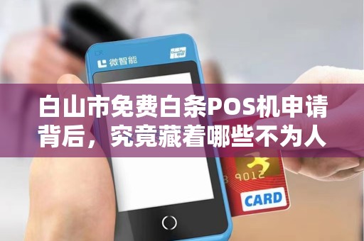 白山市免费白条POS机申请背后，究竟藏着哪些不为人知的套路？