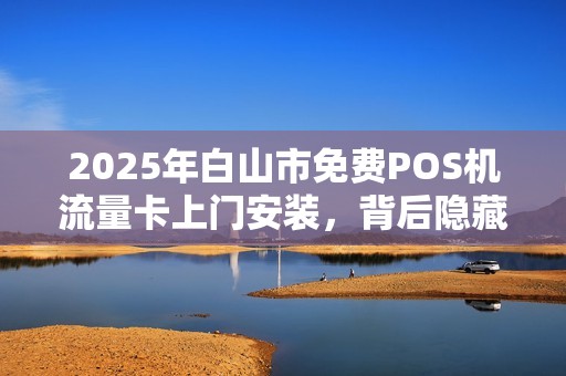 2025年白山市免费POS机流量卡上门安装，背后隐藏着哪些不为人知的秘密？