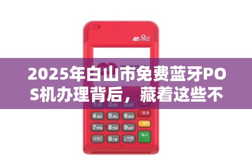 2025年白山市免费蓝牙POS机办理背后，藏着这些不为人知的秘密！