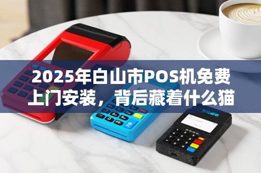 2025年白山市POS机免费上门安装，背后藏着什么猫腻？
