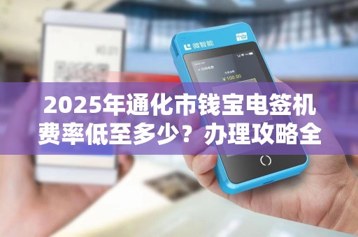 2025年通化市钱宝电签机费率低至多少?办理攻略全解析! 2025年通化市钱宝电签机费率低至多少?办理攻略全解析!