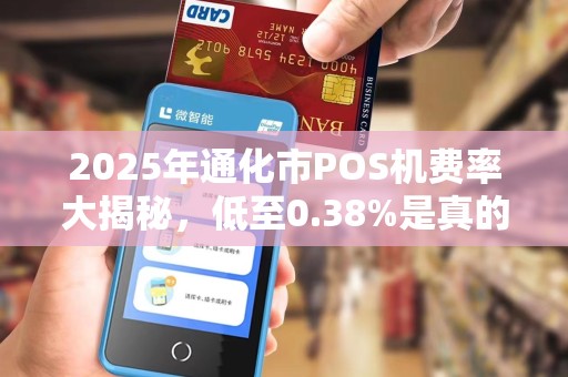 2025年通化市POS机费率大揭秘，低至0.38%是真的吗？