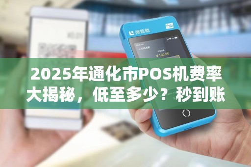2025年通化市POS机费率大揭秘，低至多少？秒到账真的靠谱吗？