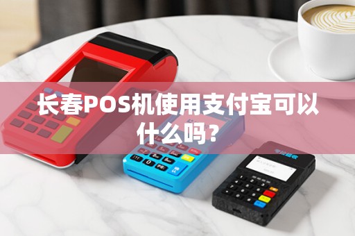 长春POS机使用支付宝可以什么吗？
