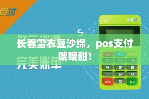 长春雪衣豆沙绵，pos支付嗖嗖甜！