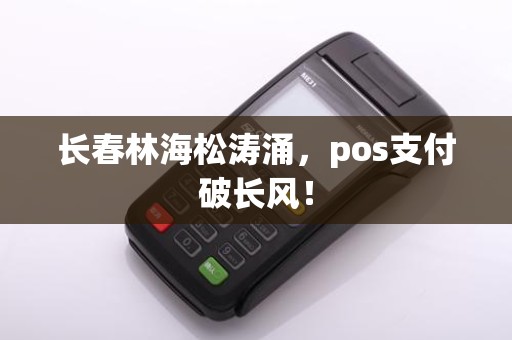 长春林海松涛涌，pos支付破长风！